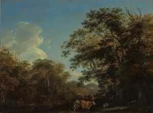 forest-view-with-cattle-by-a-mud-flat