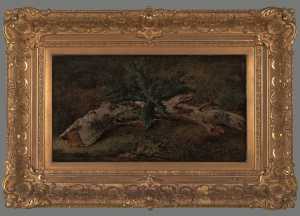 studie-van-een-boomtak-met-fijn-loof