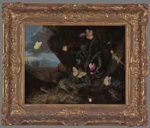 TMSFoto/OK/2206 (OK) met lijst_JT20181029.jpg