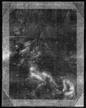 TMSFoto/OK/2296 (OK)_XRF_STITCH_RKG2020_06-11.jpg