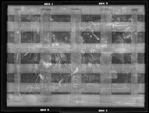 TMSFoto/OK/2310 (OK)_XRF_STITCH_RKG2020_06-11.jpg