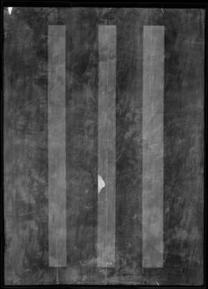 TMSFoto/OK/2342 (OK)_XRF_STITCH_RKG2020_06-11.jpg