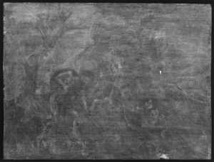 TMSFoto/OK/2423 (OK)_XRF_STITCH_RKG2020_06-11.jpg