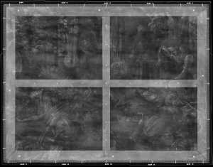 TMSFoto/OK/2436 (OK)_XRF_STITCH_RKG2020_06-11.jpg