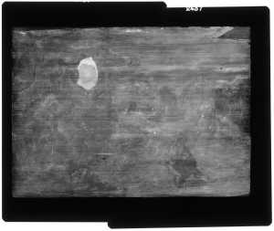 TMSFoto/OK/2437 (OK)_XRF_STITCH_RKG2020_06-11.jpg