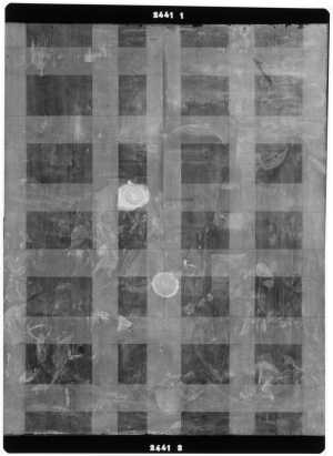 TMSFoto/OK/2441 (OK)_XRF_STITCH_RKG2020_06-11.jpg