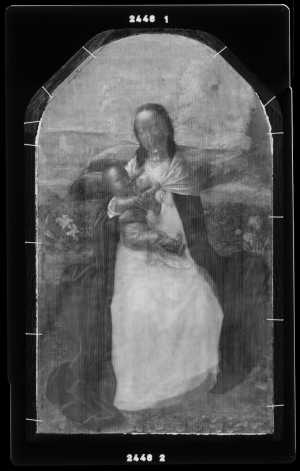 TMSFoto/OK/2446 (OK)_XRF_STITCH_RKG2020_06-11.jpg