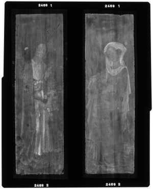 TMSFoto/OK/2458-2459 (OK)_XRF_STITCH_RKG2020_06-11.jpg