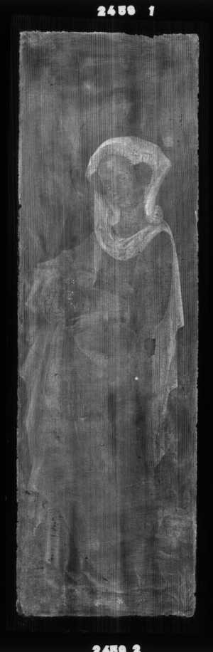 TMSFoto/OK/2459 (OK)_XRF_STITCH_RKG2020_06-11.jpg