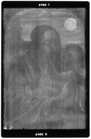 TMSFoto/OK/2460 (OK)_XRF_STITCH_RKG2020_06-11.jpg