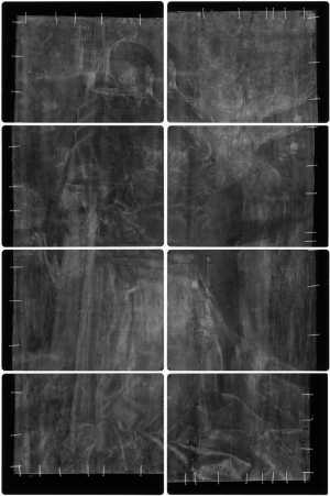 TMSFoto/OK/2463 (OK)_XRF_montage_RKG2020_06-11.jpg