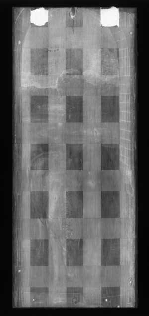 TMSFoto/OK/2470 (OK)_XRF_STITCH_RKG2020_06-11.jpg