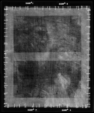 TMSFoto/OK/2495 a (OK)_XRF_STITCH_RKG2020_06-11.jpg