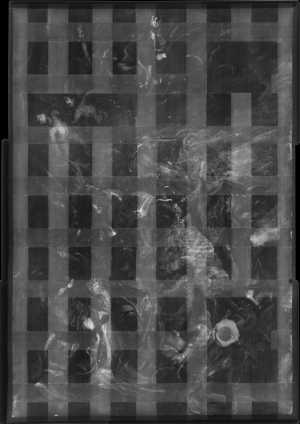 TMSFoto/OK/2515 (OK)_XRF_STITCH_RKG2020_06-11.jpg