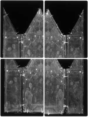 TMSFoto/OK/2543 (OK)_XRF_montage_RKG2020_06-11.jpg