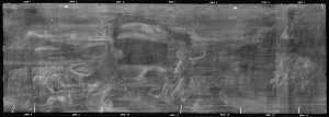 TMSFoto/OK/2563 (OK)_XRF_STITCH_RKG2020_06-11.jpg