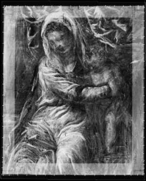 TMSFoto/OK/2564 (OK)_XRF_STITCH_RKG2020_06-11.jpg