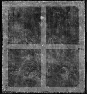 TMSFoto/OK/2565 (OK)_XRF_STITCH_RKG2020_06-11.jpg