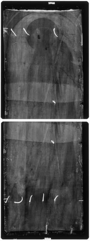 TMSFoto/OK/2649 (OK)_XRF_montage_RKG2020_06-11.jpg