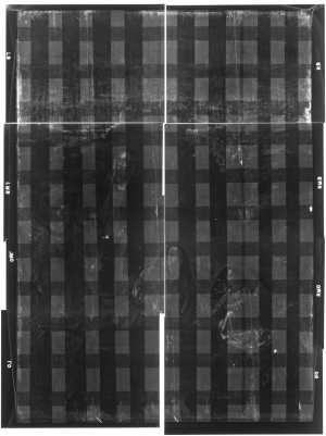 TMSFoto/OK/2743 (OK)_lichter_XRF_montage_RKG2020_06-11.jpg