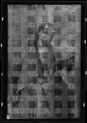 TMSFoto/OK/3168 (OK)_XRF_STITCH_RKG2020_06-11.jpg