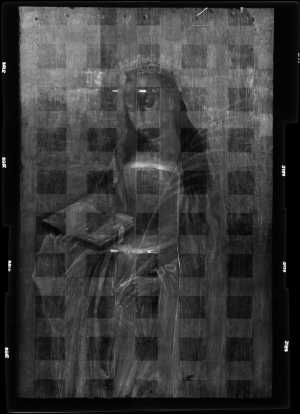 TMSFoto/OK/3169 (OK)_XRF_STITCH_RKG2020_06-11.jpg