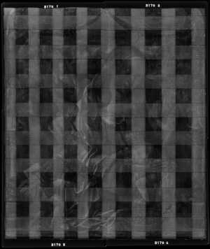 TMSFoto/OK/3170 (OK)_1988_XRF_STITCH_RKG2020_06-11.jpg