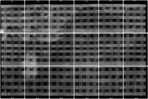 TMSFoto/OK/3363 (OK)_XRF_montage_RKG2020_06-11.jpg