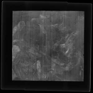 TMSFoto/OK/3723 (OK)_midden_XRF_STITCH_RKG2020_06-11.jpg
