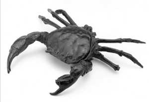 TMSFoto/OK/Bek 1116 (OK).jpg