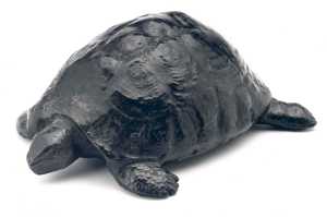 TMSFoto/OK/BEK 1117 (OK).jpg