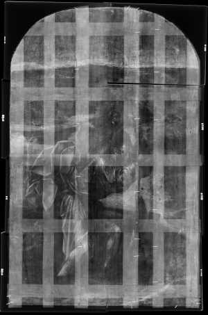 TMSFoto/OK/St 26_XRF_STITCH_RKG2020_06-11.jpg