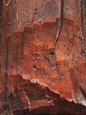 TMSFoto/OK/St 312 achterzijde_EPH20160329.jpg