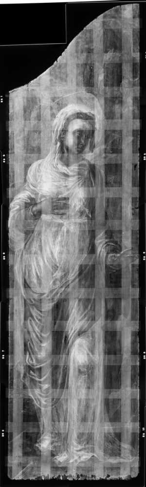 TMSFoto/OK/VdV 36_XRF_STITCH_RKG2020_06-11.jpg