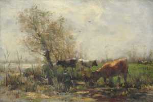 TMSFoto/OK/VdV 48.jpg