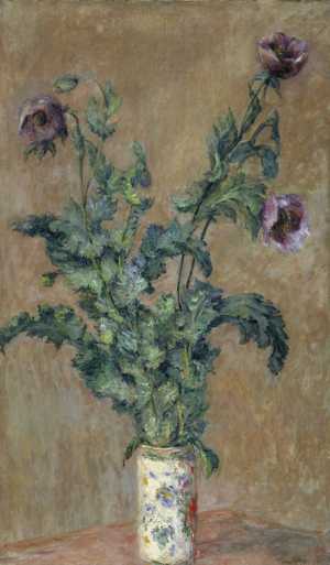 TMSFoto/OK/vdv 51.jpg