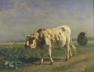 TMSFoto/OK/VdV 79.jpg