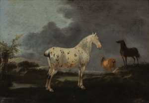 landschap-met-appelschimmel