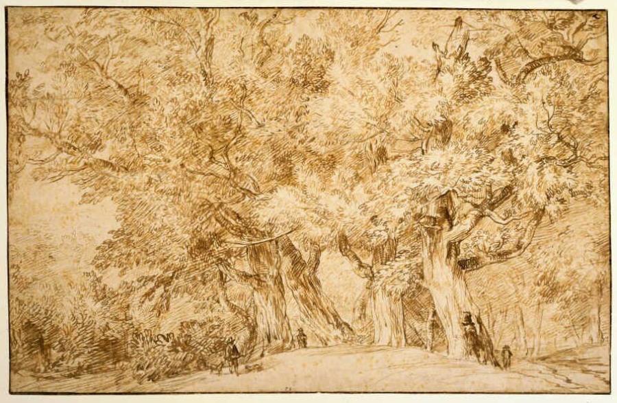 View of a Wood with Four Great Oak Trees