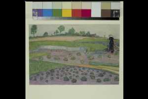 akkerland-met-kool-en-andere-groenten