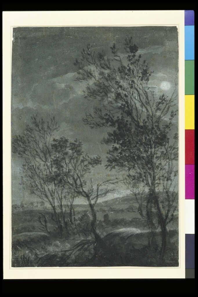 Avondlandschap met een snelstromende beek tussen bomen