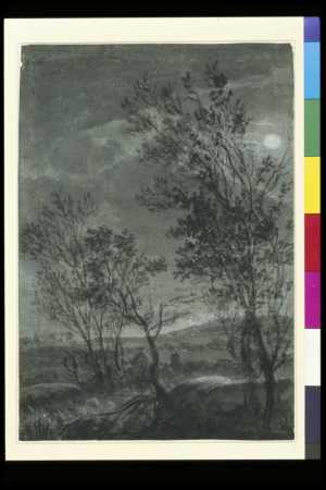 avondlandschap-met-een-snelstromende-beek-tussen-bomen