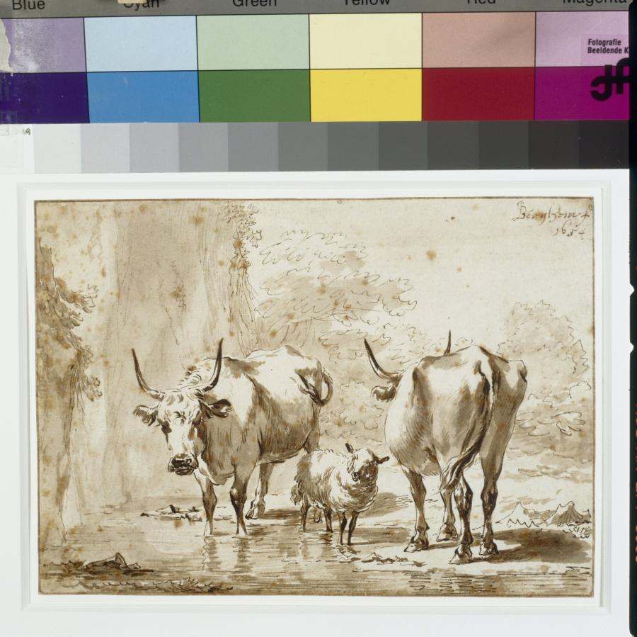 Twee ossen en een schaap