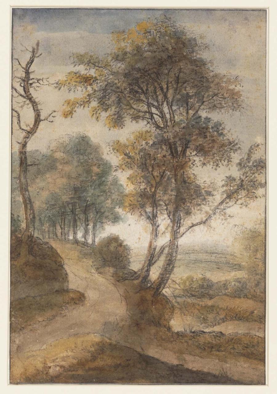 Landscape with Trees along a Path