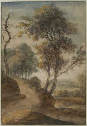 een-landschap-met-bomen-aan-een-pad