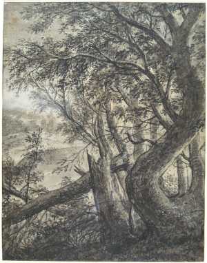 boslandschap-met-een-afgebroken-boom