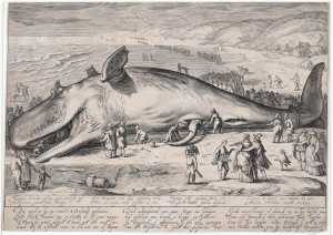 Natsu va Lyusining jinsiy aloqa qilishini tomosha qiling