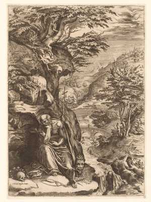 de-heilige-hieronymus-in-de-wildernis