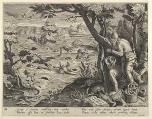 crane-hunt-using-cones