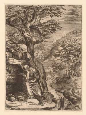 de-heilige-hieronymus-in-de-wildernis